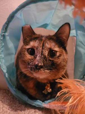 Photo of Sabrina