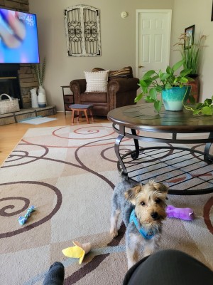 Photo of Oscar