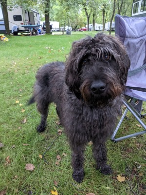 Photo of Luna