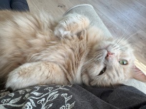 Photo of Harry