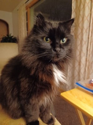 Photo of Gus