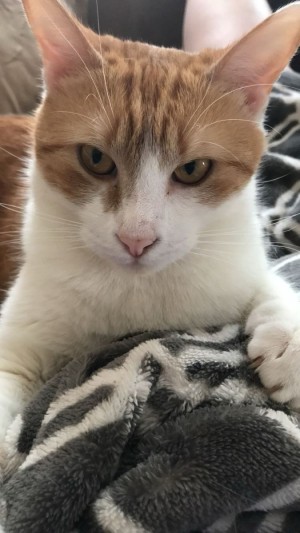 Photo of Lilly