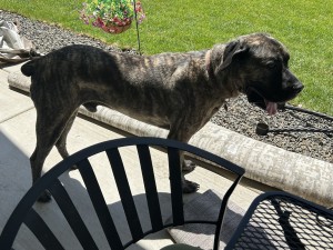 Photo of Brewtus