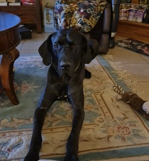 Photo of Finn