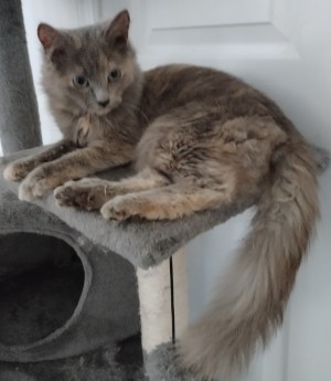 Photo of Remi