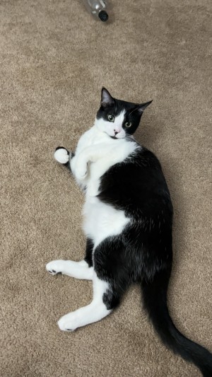 Photo of Kendrick