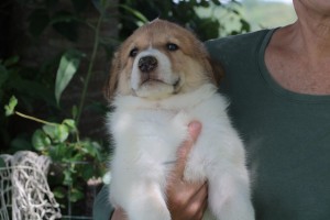 Photo of Grayson