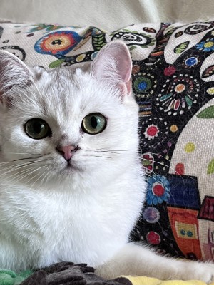 Photo of Sophia