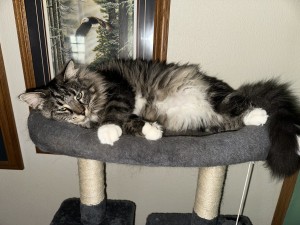 Photo of Cash