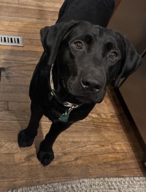 Photo of Taco