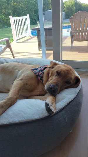 Photo of Clifford
