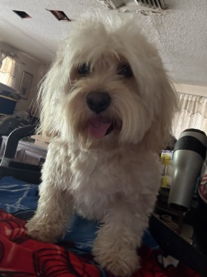 Photo of Max