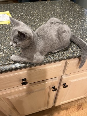 Photo of Oliver