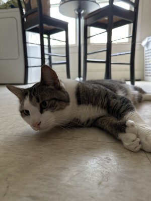 Photo of DeJay