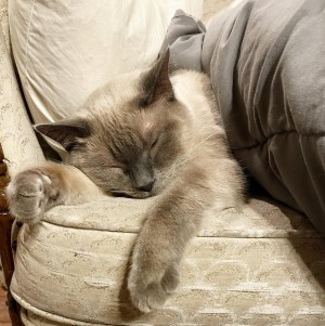 Photo of Opal May