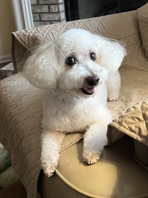 Photo of Miss Lilly Mae
