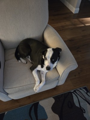 Photo of Luke
