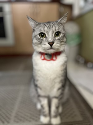 Photo of Tom