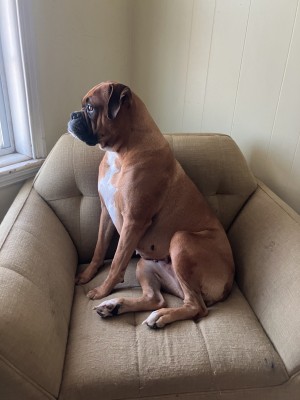 Photo of Mia
