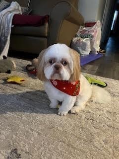 Photo of Angus A