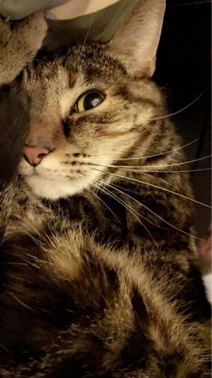 Photo of Wilma