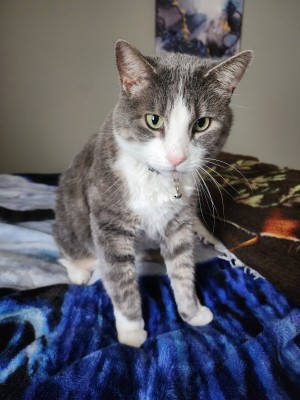 Photo of Thor