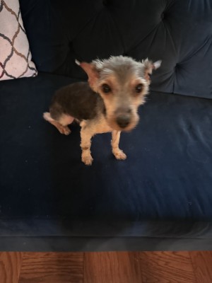 Photo of Austin