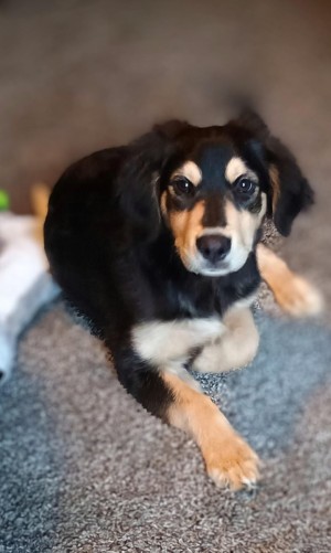 Photo of Buster