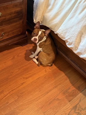 Photo of Jack