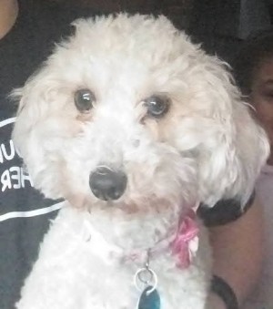 Photo of Melly