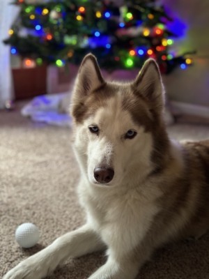 Photo of Jasper