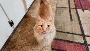 Photo of Doobie