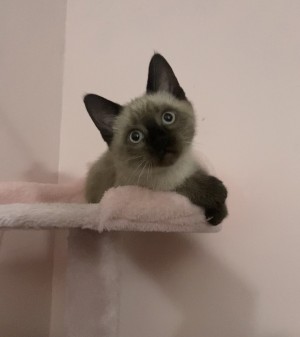 Photo of Bug