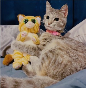 Photo of Miss Kitty