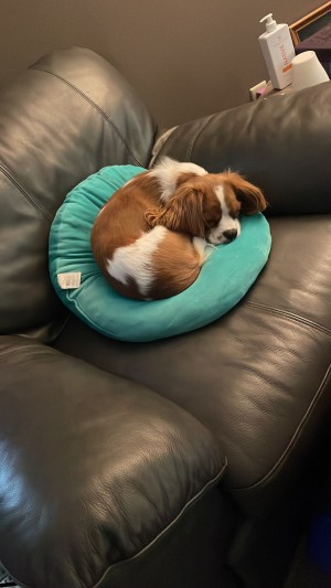Photo of Charlie