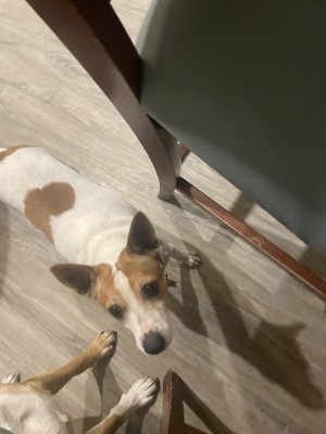 Photo of Jack