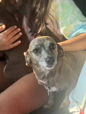 Photo of Angel