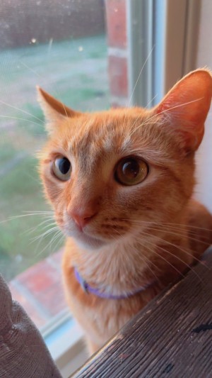Photo of Soonie