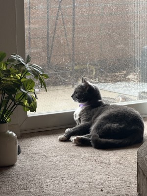 Photo of Prue