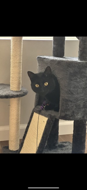 Photo of Benny