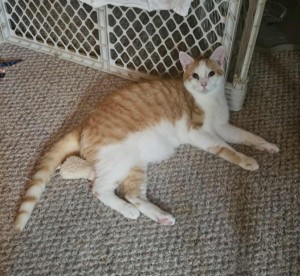 Photo of Jake