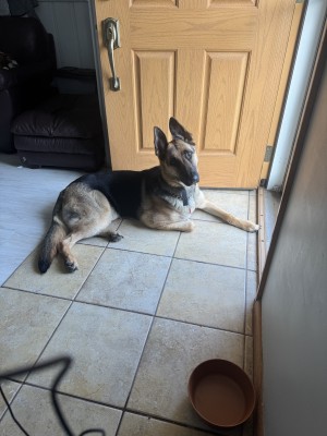 Photo of Bailey Mae