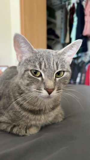 Photo of Ella