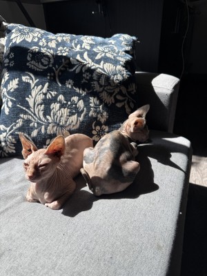 Photo of Bodie & Jay
