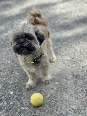 Photo of Marvin