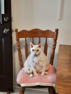 Photo of Bob