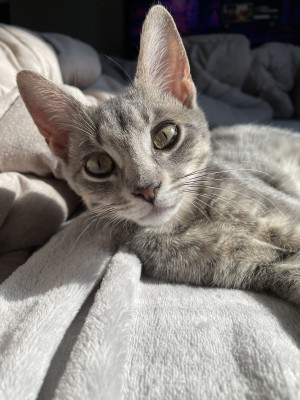 Photo of Zéla