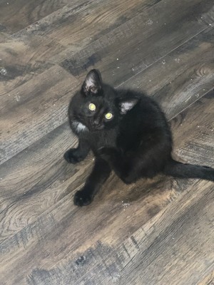 Photo of Leo