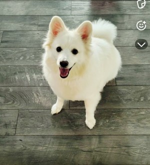 Photo of Bella
