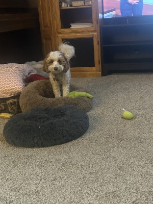 Photo of Mollie